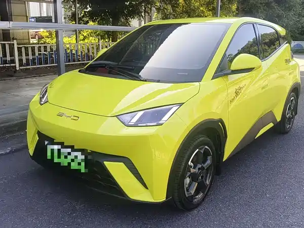 BYD Seagull 2024