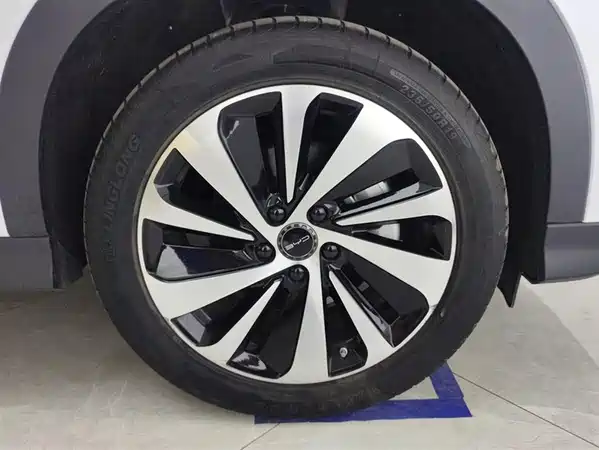 BYD Song PLUS New Energy 2024