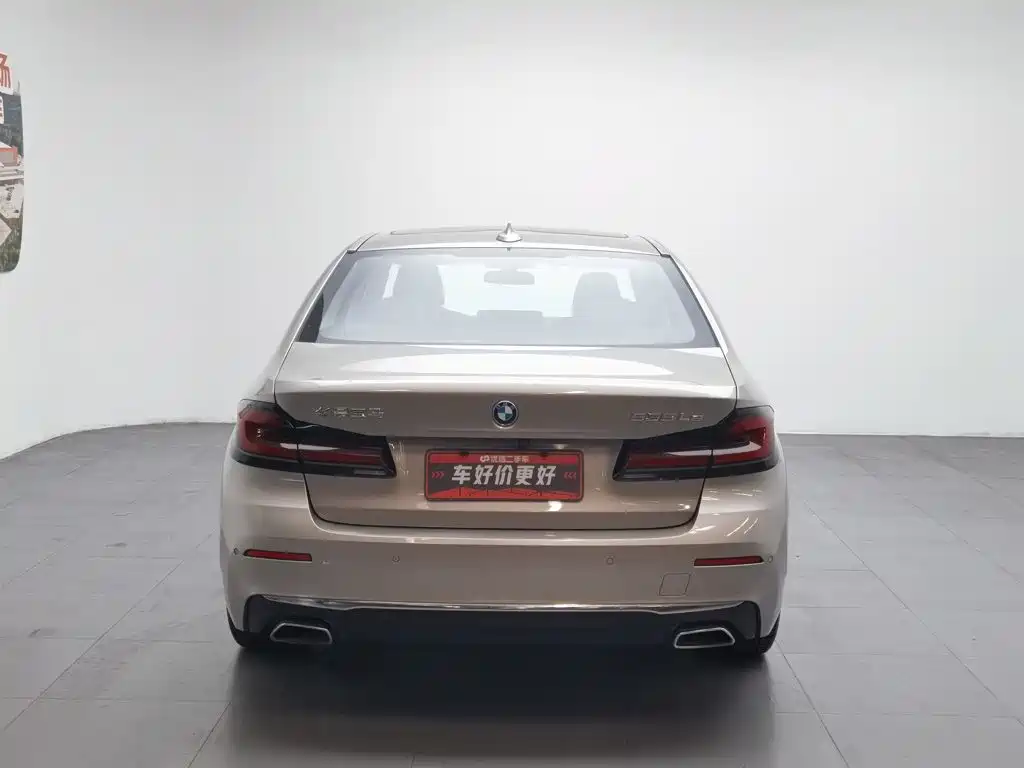 BMW 5 Series New Energy 2021
