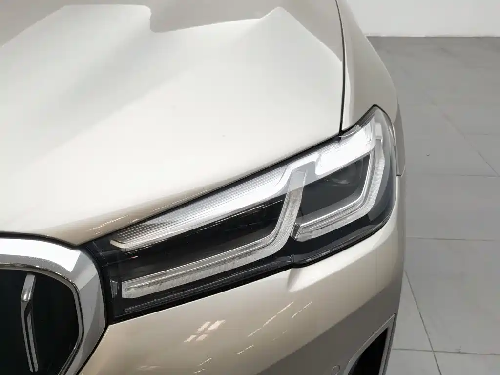 BMW 5 Series New Energy 2021
