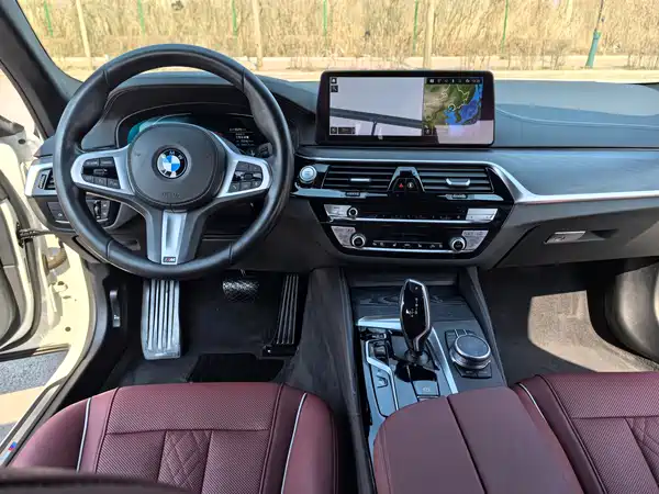BMW 5 Series New Energy 2021
