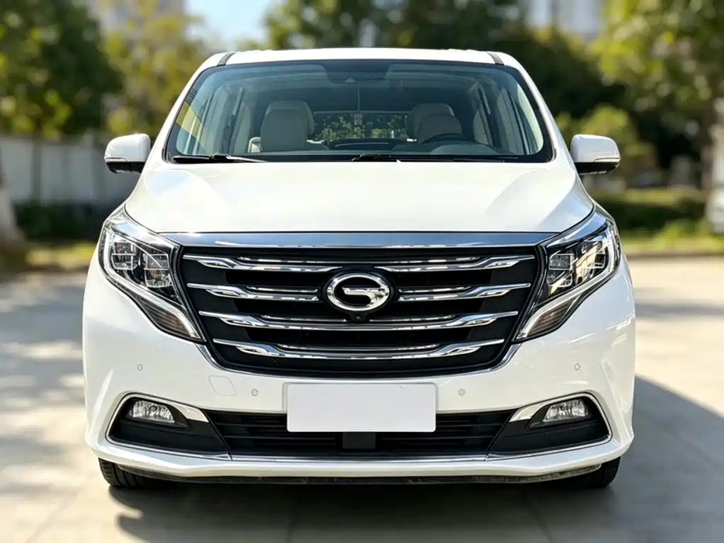 GAC Trumpchi M8 2018 — фото 13