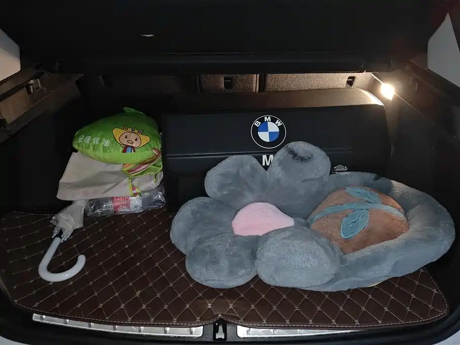 BMW X1 2021
