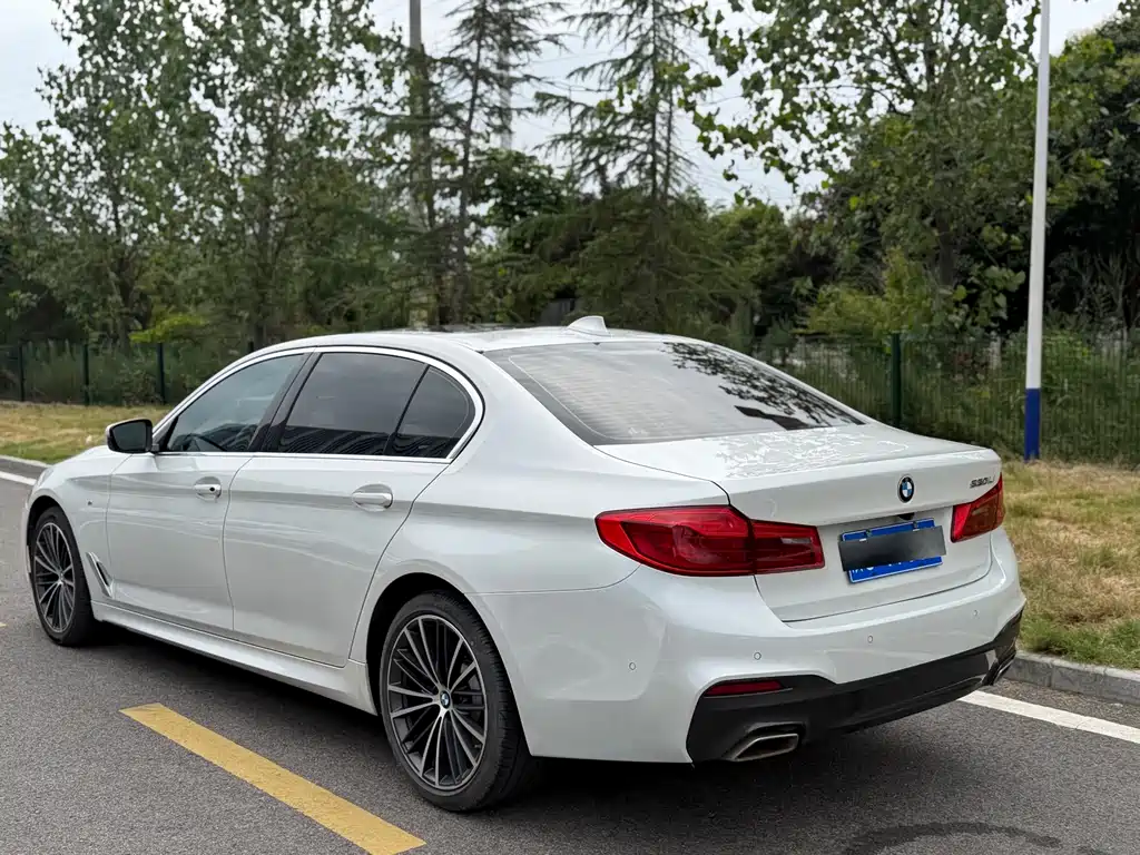 BMW 5 Series 2020 — фото 16
