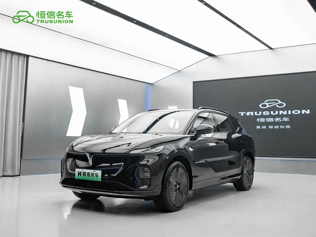 VOYAH Zhiyin 2024