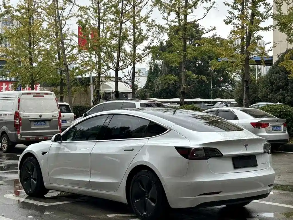 Tesla Model 3 2020 — фото 9
