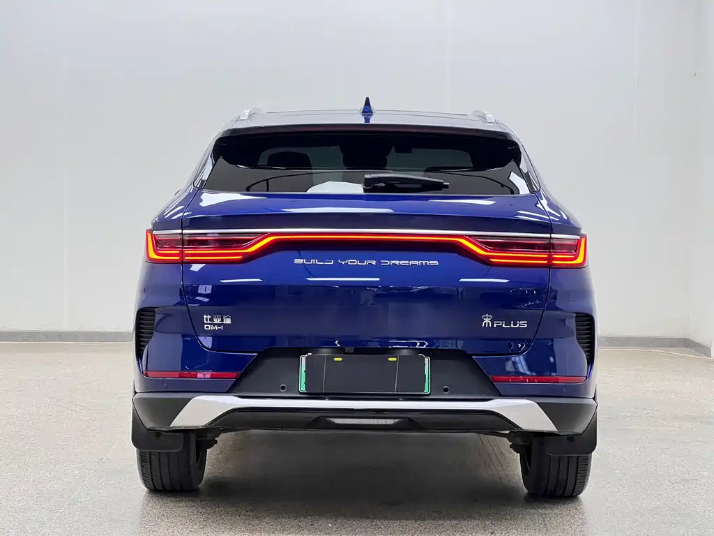 BYD PLUS New Energy 2022 — фото 6