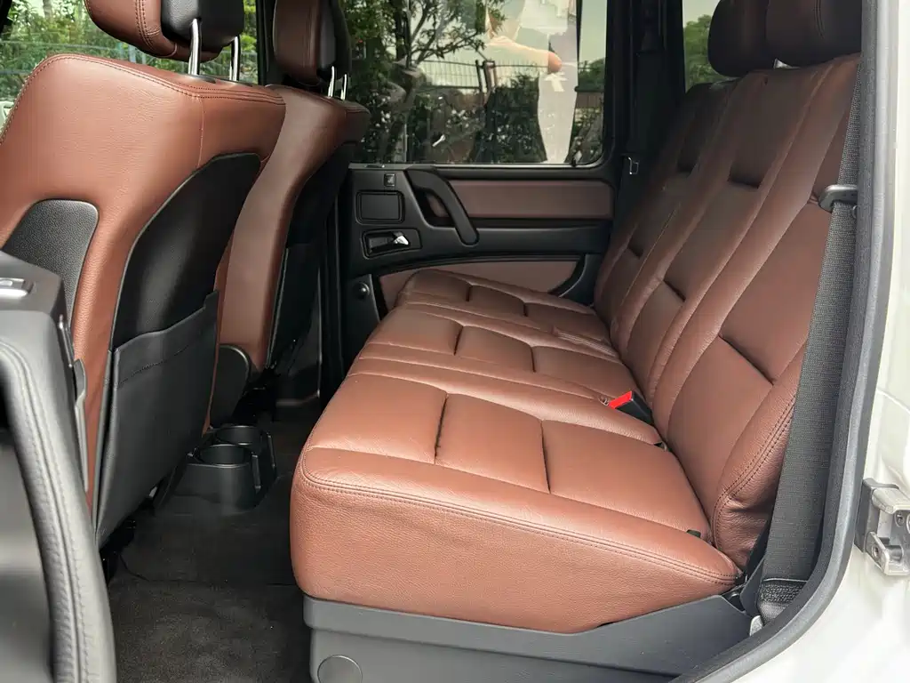 Mercedes-Benz G-Class 2017 — фото 16