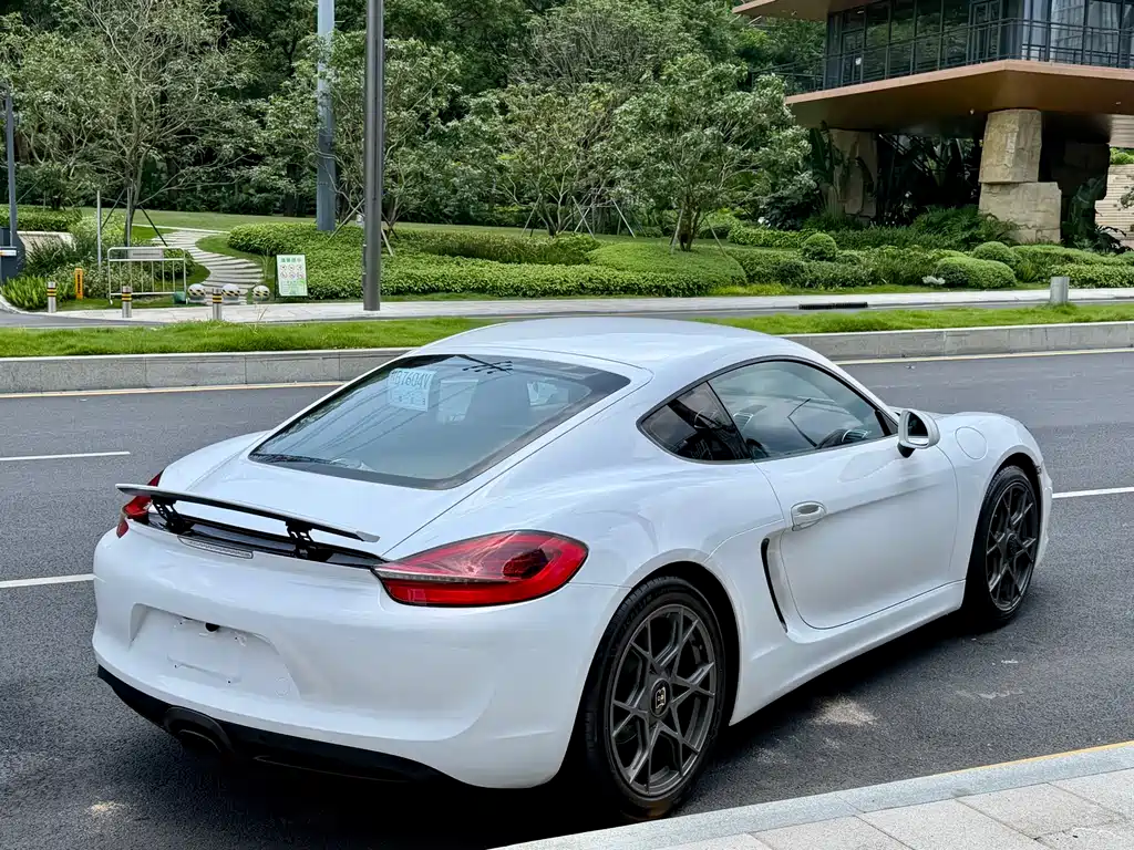 Porsche Cayman 2015 — фото 5