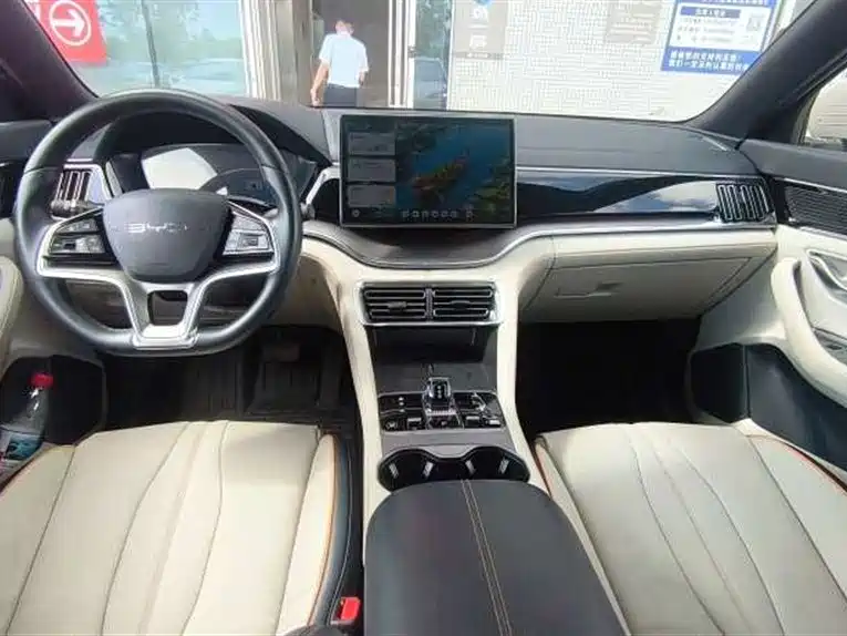 BYD Song PLUS New Energy 2024 — фото 7