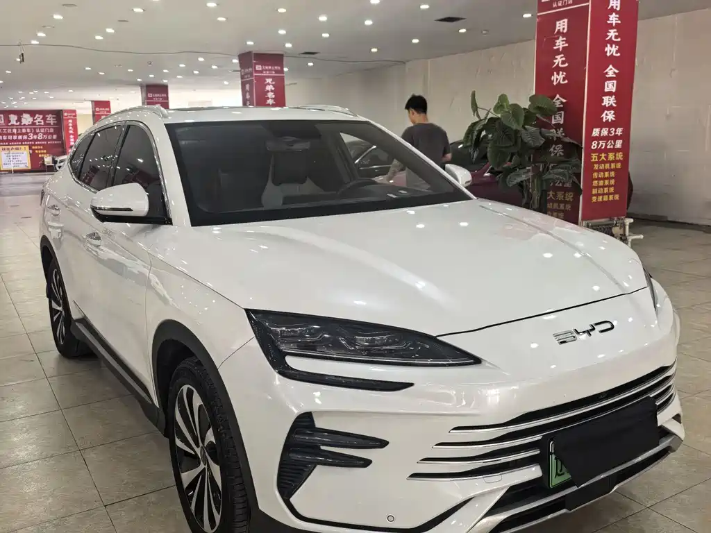 BYD PLUS New Energy 2024 — фото 2