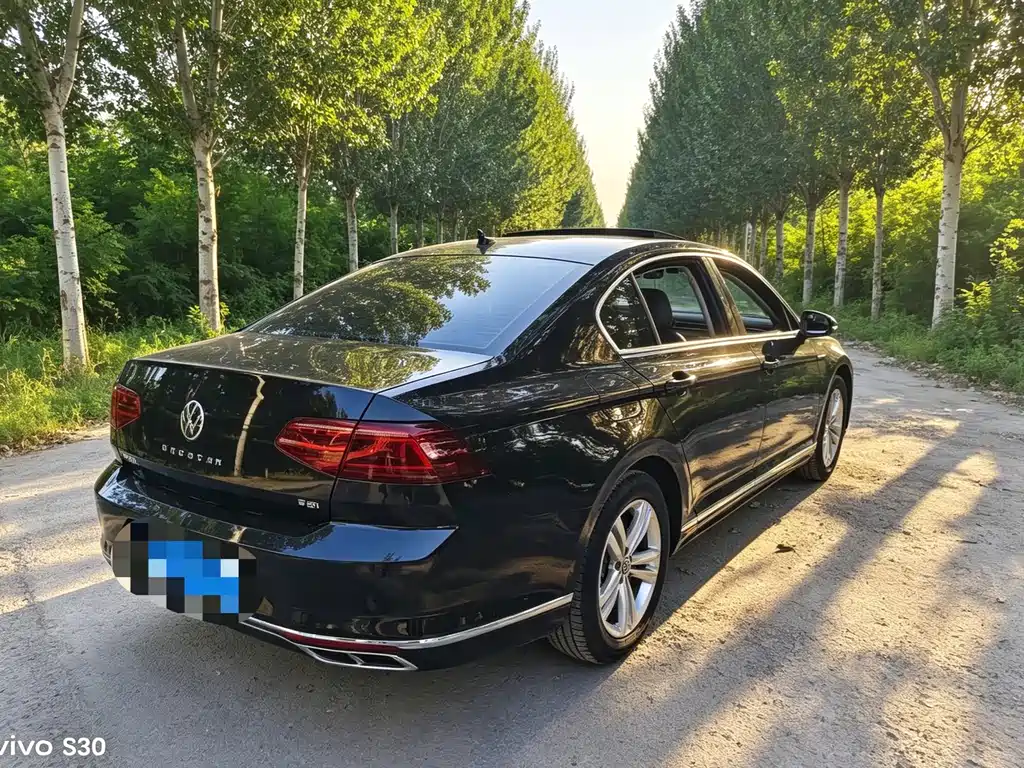 Volkswagen Magotan 2024