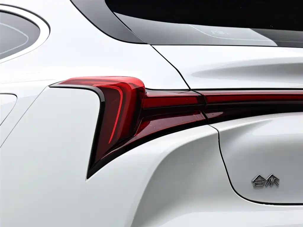 Neta S Shooting Brake 2025 — фото 7