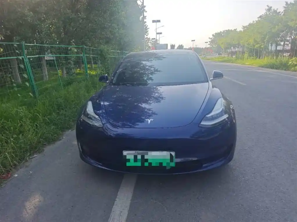 Tesla Model 3 2020