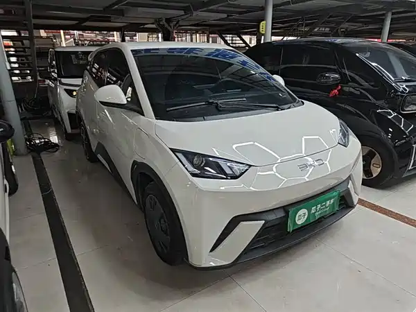 BYD Seagull 2024