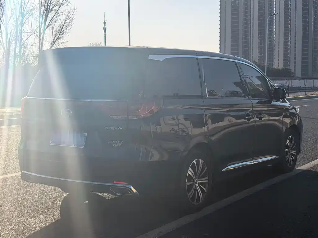GAC Motor Trumpchi M8 2019 — фото 9