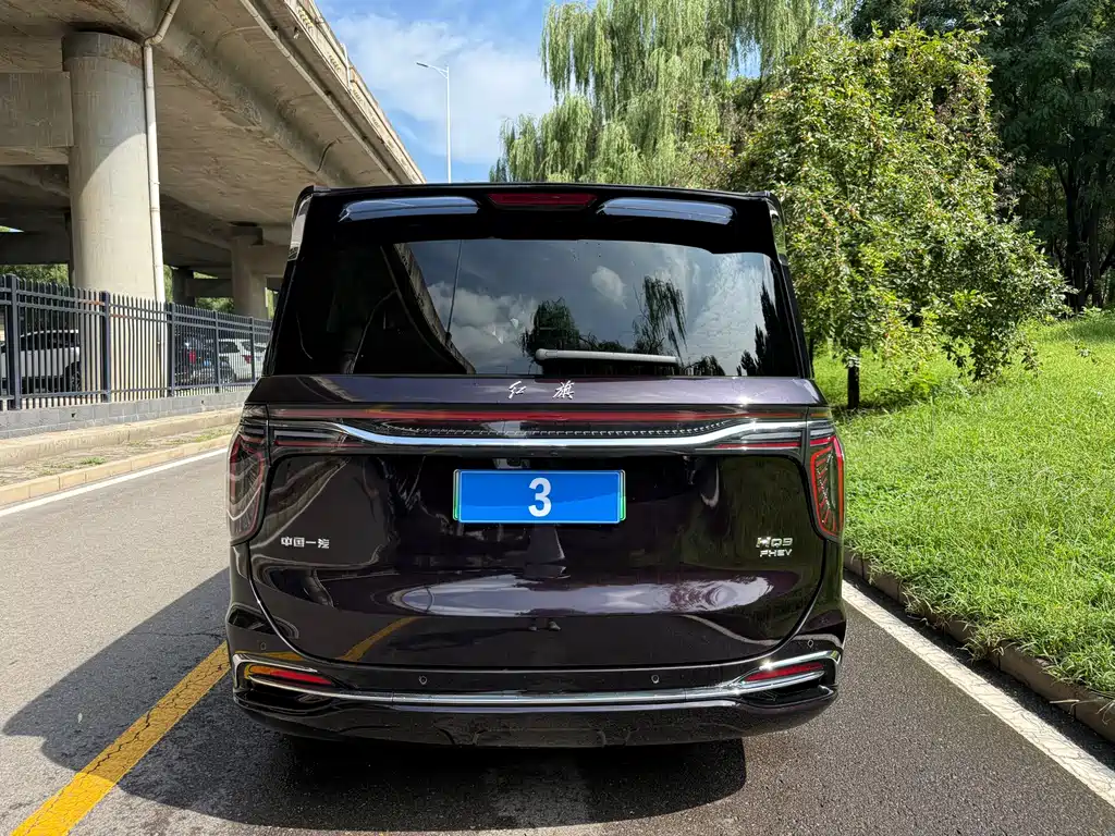 Hongqi HQ9 PHEV 2024 — фото 10