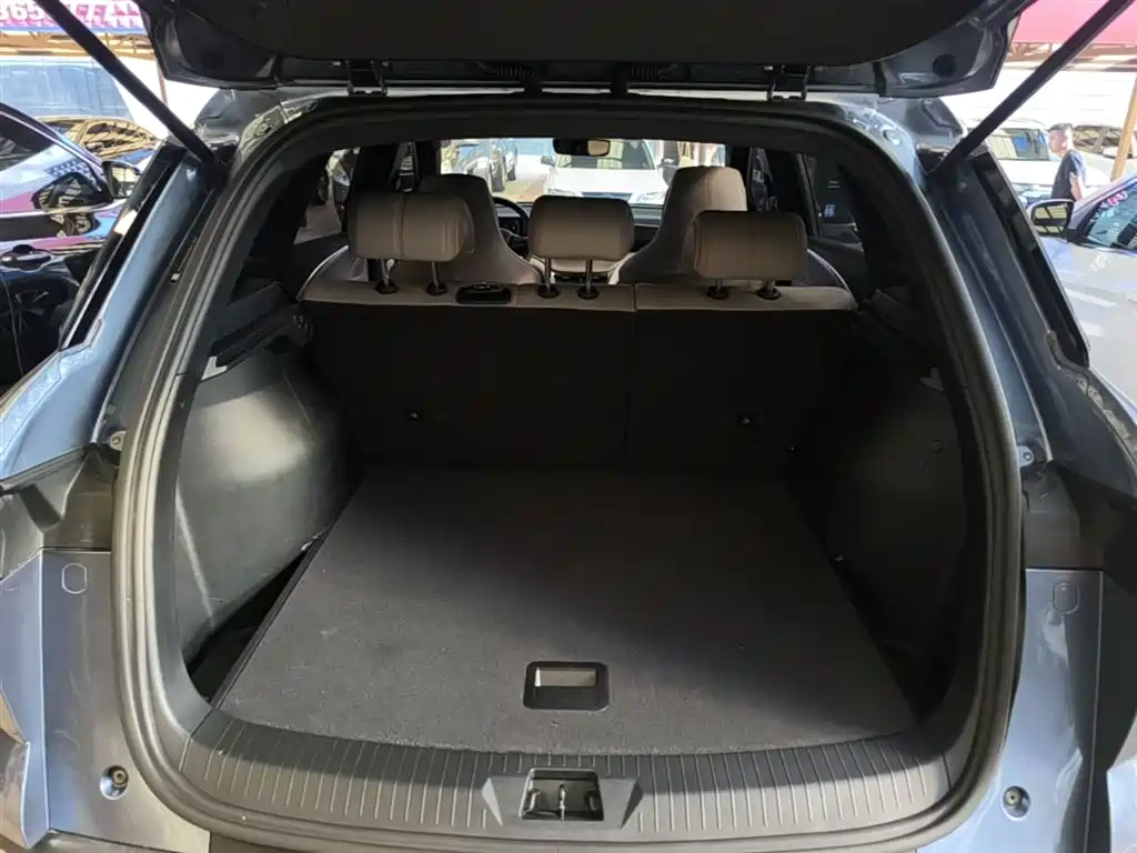 BYD Pro New Energy 2024 — фото 19