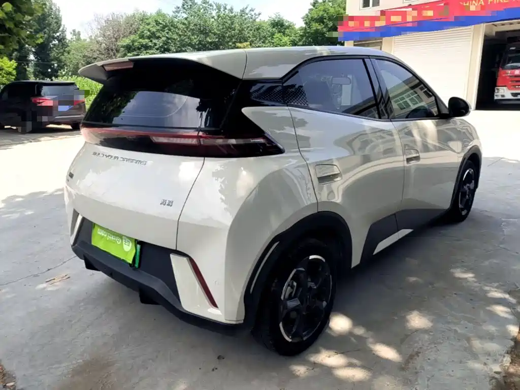 BYD Seagull 2024