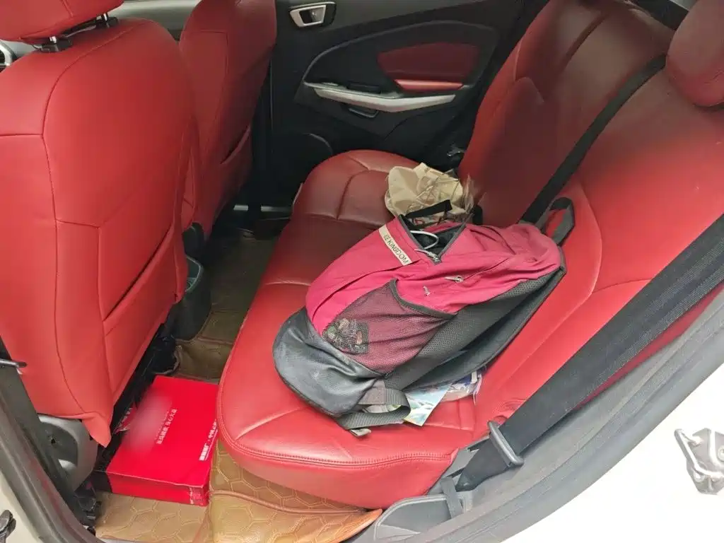 Ford Ecosport 2014 — фото 14