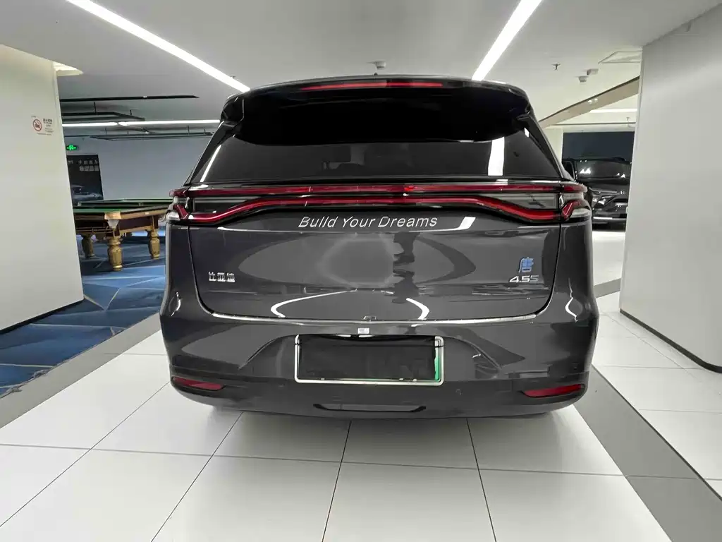 BYD Tang New Energy 2019 — фото 13