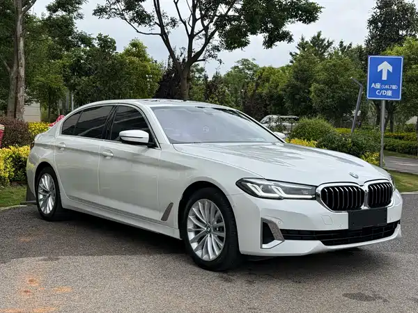 BMW 5 Series 2021