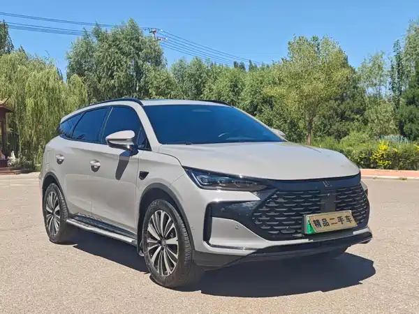 BYD Tang New Energy 2026