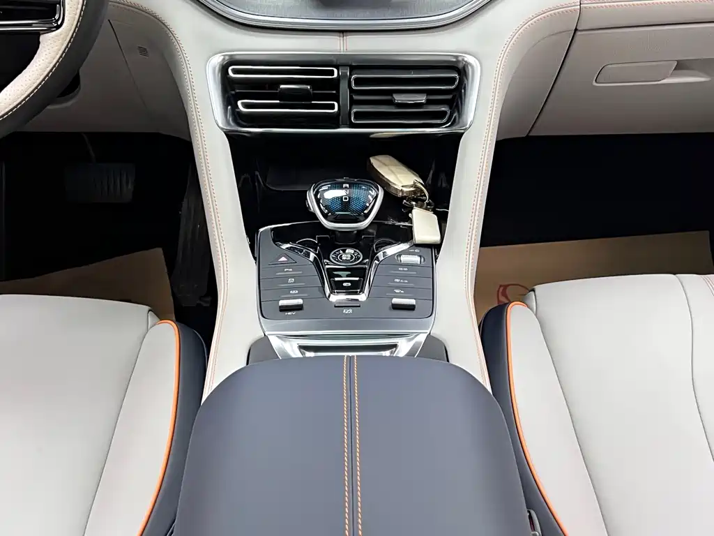 BYD PLUS New Energy 2022 — фото 23
