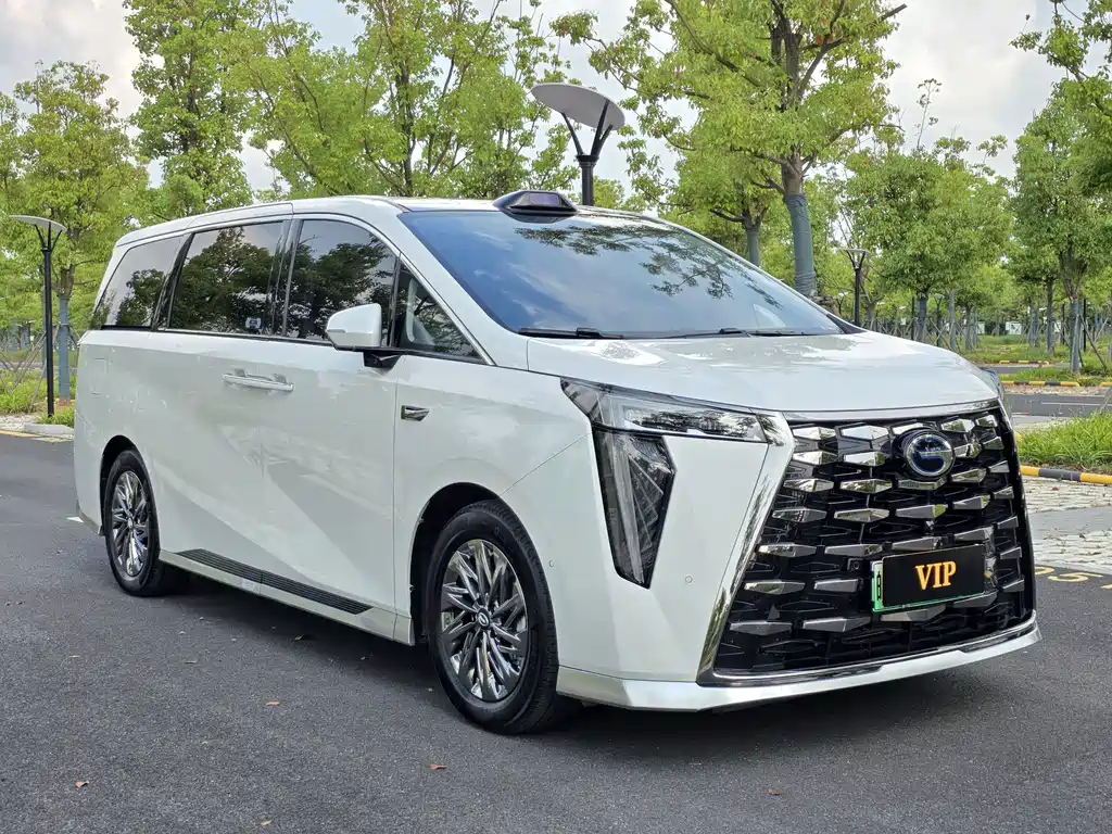 GAC Motor Xiangwang M8 2025 — фото 3