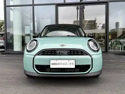 MINI MINI 2025