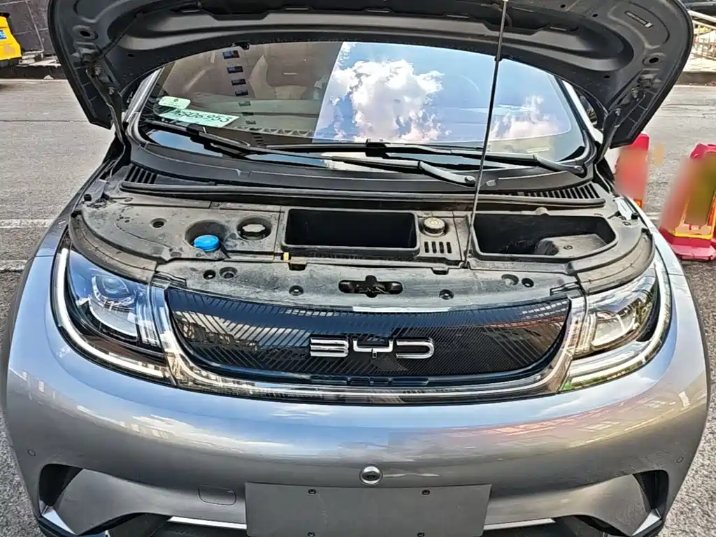 BYD Dolphin 2023 — фото 20