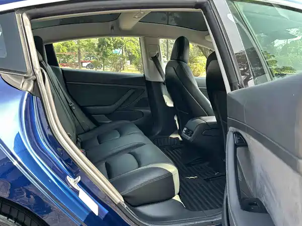 Tesla Model 3 2019