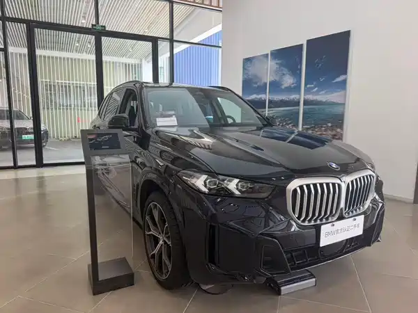 BMW X5 2024