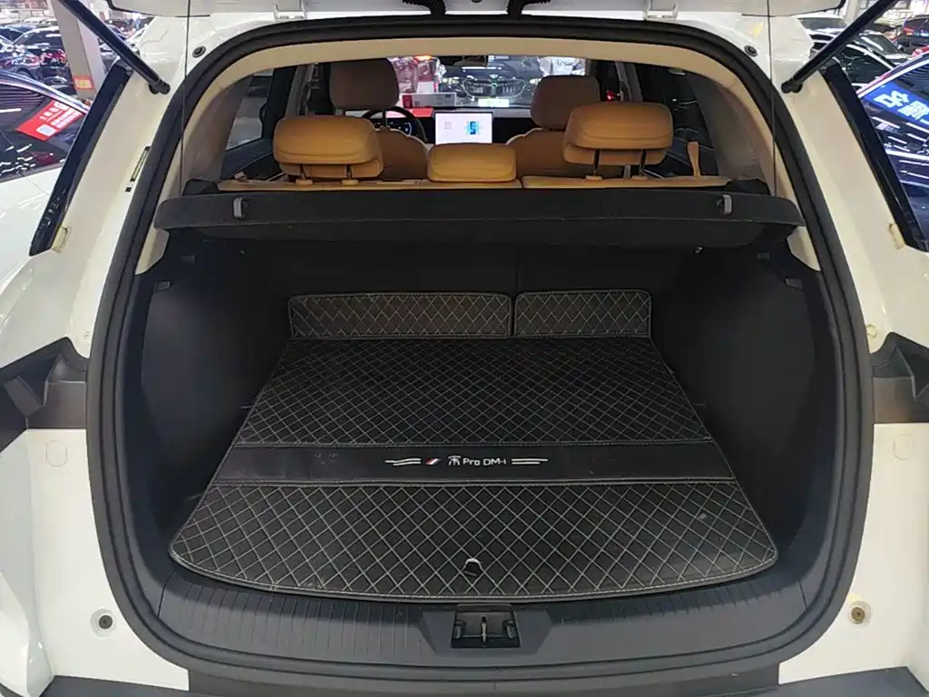 BYD Song Pro New Energy 2025 — фото 19