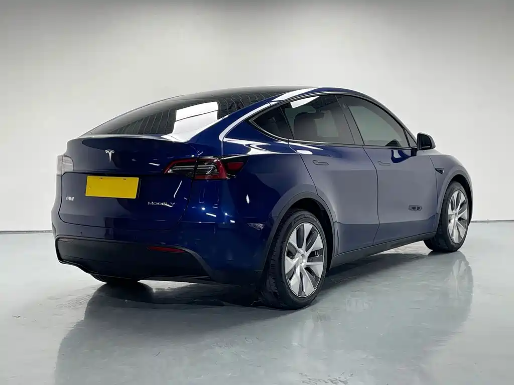 Tesla Model Y 2021 — фото 6
