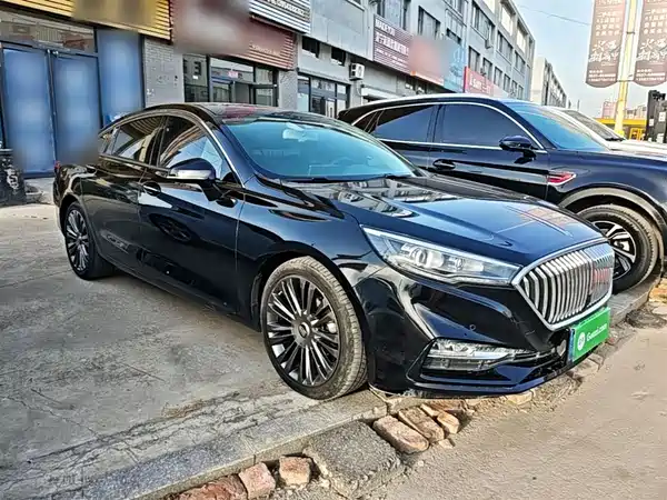 Hongqi H5 2020