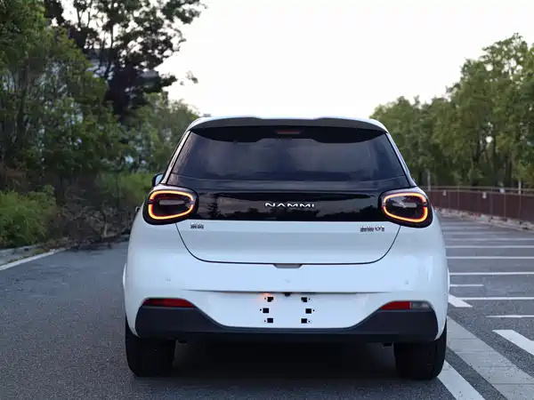 Dongfeng Nano 01 2024