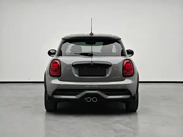 MINI MINI 2022