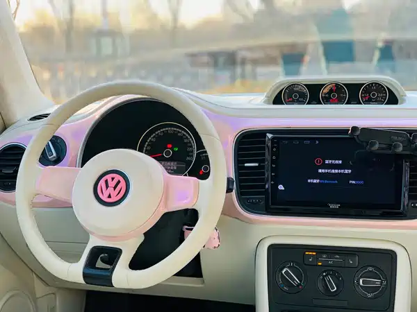 Volkswagen Beetle 2015