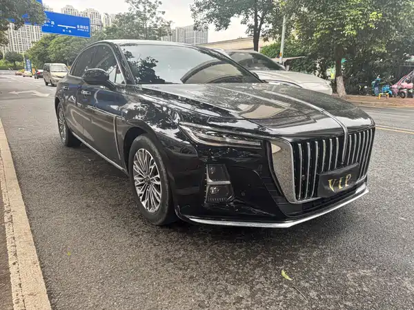 Hongqi H5 2024