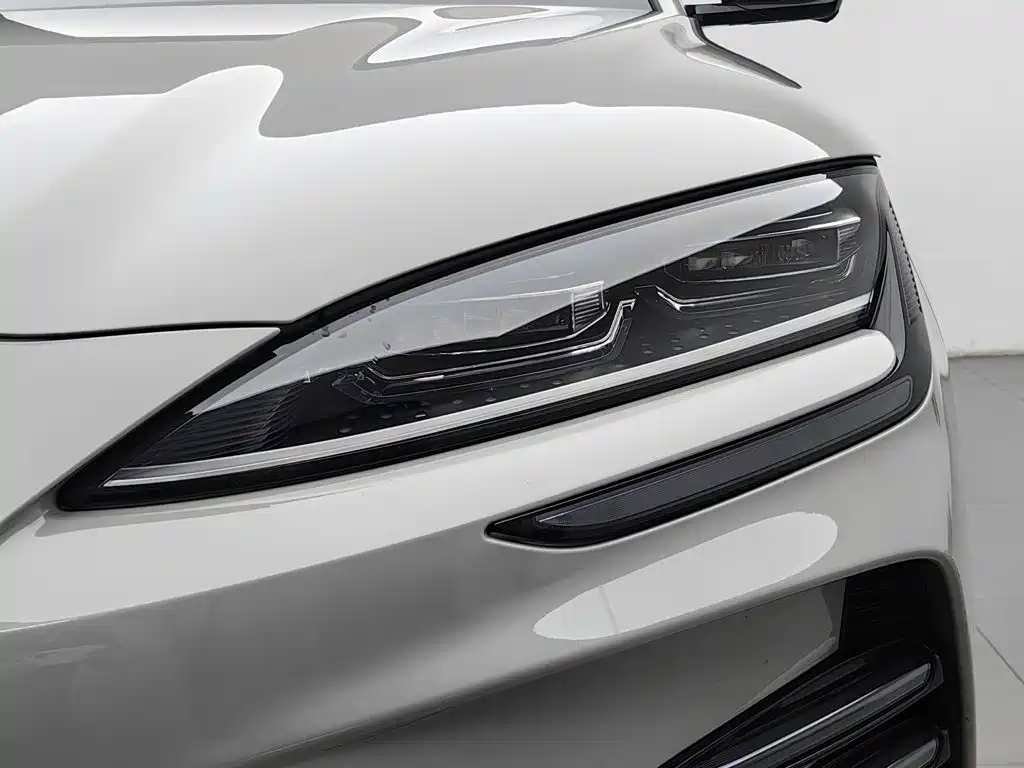 BYD Song PLUS New Energy 2024 — фото 7