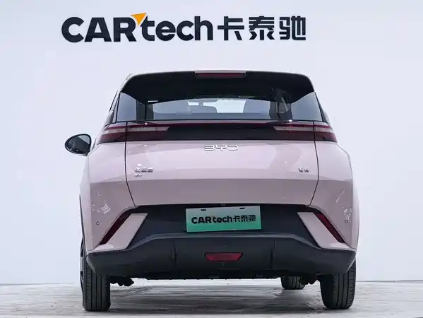 BYD Seagull 2024