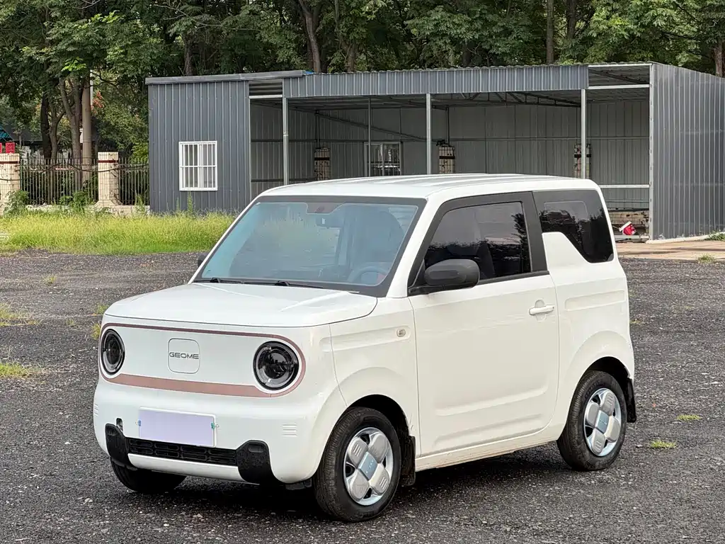 Geely Galaxy Panda 2024