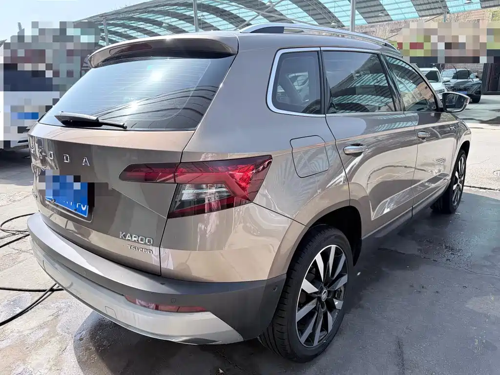 Skoda Karoq 2020 — фото 21