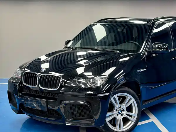 BMW X5 M 2010