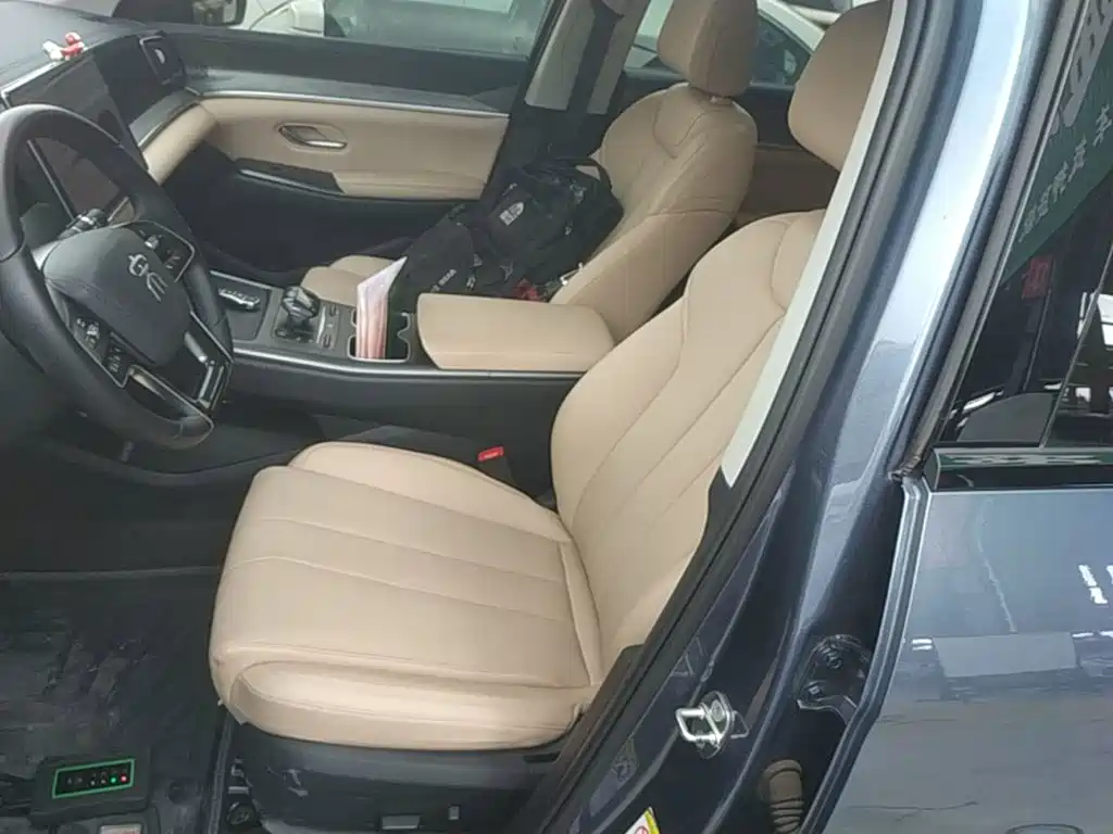 BYD Song Pro New Energy 2025 — фото 15