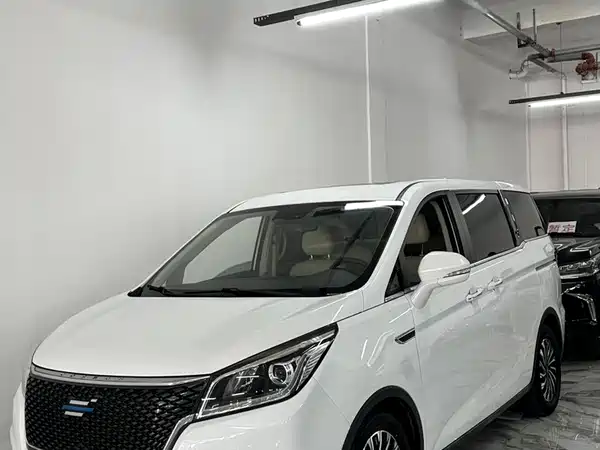 Changan Auchan Coshan 2021