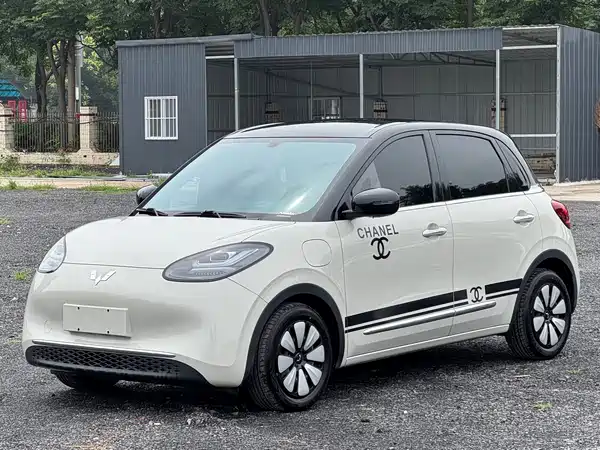 Wuling Bingo 2025