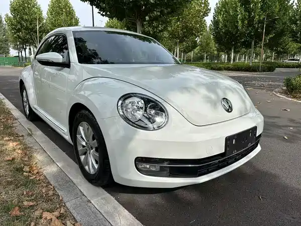 Volkswagen Beetle 2014