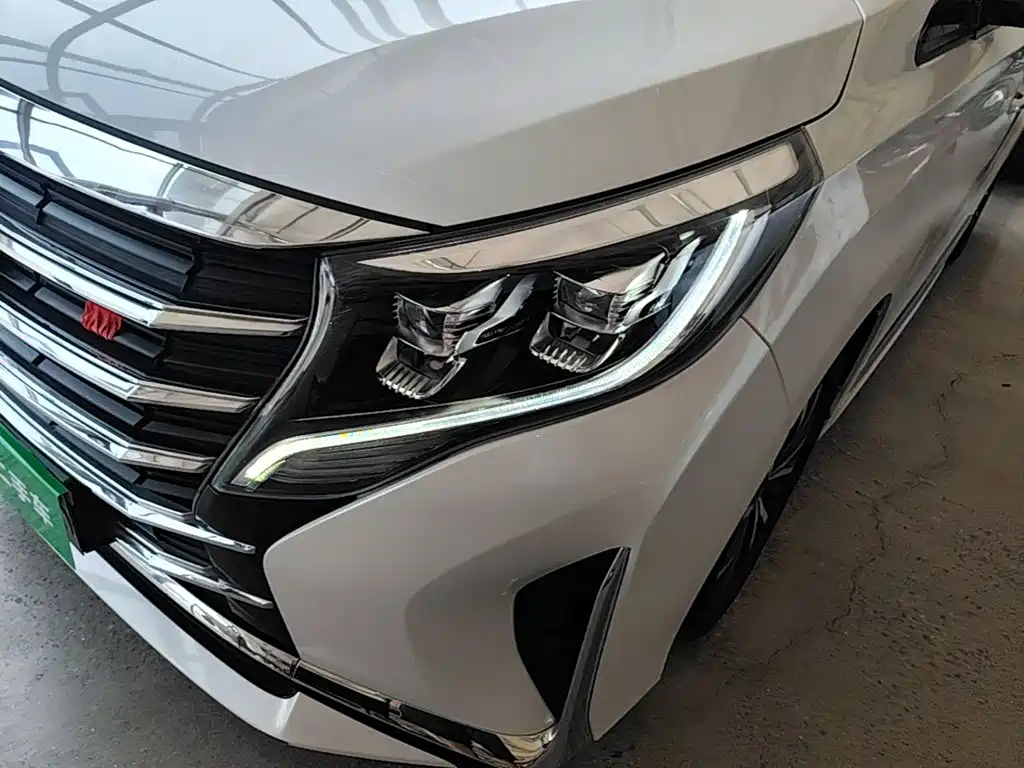 GAC Trumpchi M8 2023 — фото 24